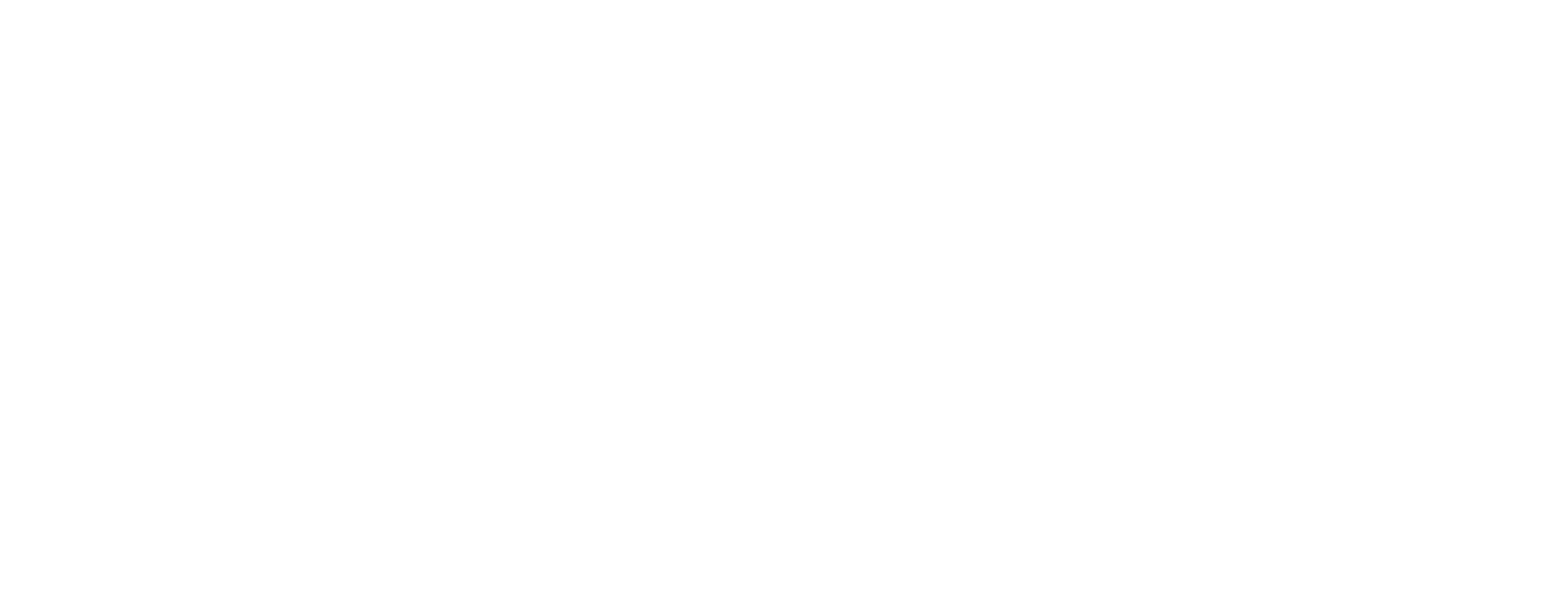 Seleção Netshoes